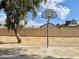 Outdoor basketball hoop on concrete court in a residential area at 13521 E Butler St, Chandler, AZ 85225