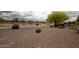 Expansive desert landscaping featuring gravel, native plants and walking path at 20669 N 266Th Ave, Buckeye, AZ 85396