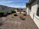 Landscaped backyard featuring decorative rock, a privacy wall and manicured shrubs at 2735 E King Bird Dr, Gilbert, AZ 85297