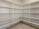 Walk-in pantry offering ample storage space with floor-to-ceiling shelving at 2868 E Binner Dr, Chandler, AZ 85225