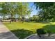 Expansive community park with lush green grass and mature trees at 2868 E Binner Dr, Chandler, AZ 85225
