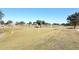 Expansive green space features a lawn and sprinkler system with homes visible in the backdrop at 36950 W Mondragone Ln, Maricopa, AZ 85138