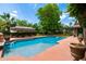 Relax by the sparkling pool in a private backyard oasis featuring a grass thatched shade structure at 5536 N Camelback Canyon Pl, Phoenix, AZ 85018