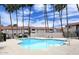 Community pool surrounded by tall palm trees and lounge chairs at 623 W Guadalupe Rd # 279, Mesa, AZ 85210