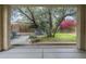 Inviting backyard featuring mature trees, colorful bougainvillea, and a cozy seating area at 6858 W Potter Dr, Glendale, AZ 85308