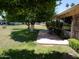 Charming backyard with a patio, shade tree, and manicured lawn, perfect for outdoor enjoyment at 10229 W Bolivar Dr, Sun City, AZ 85351