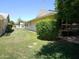Spacious backyard features a well-maintained lawn, mature shrubbery, and convenient patio access at 10229 W Bolivar Dr, Sun City, AZ 85351