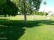 Lush green lawn dotted with mature trees, creating a serene and inviting outdoor space at 10229 W Bolivar Dr, Sun City, AZ 85351