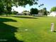 Lush green lawn with mature trees, offering a tranquil and scenic outdoor environment for community residents at 10229 W Bolivar Dr, Sun City, AZ 85351