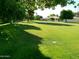 Expansive green lawn shaded by mature trees, creating a serene and picturesque outdoor setting at 10229 W Bolivar Dr, Sun City, AZ 85351
