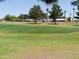 Scenic golf course view features manicured greens and mature trees for a relaxing, recreational experience at 11415 N 110Th Dr, Sun City, AZ 85351