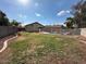 Expansive backyard with lush green grass and sparkling pool is perfect for entertaining at 20275 N 81St Ln, Peoria, AZ 85382