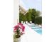 Inviting backyard pool area with lounge chairs and lush greenery providing privacy at 3927 E Sheila Ln, Phoenix, AZ 85018