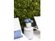 Charming poolside decor with blue hydrangeas, white chairs, and accent table at 3927 E Sheila Ln, Phoenix, AZ 85018