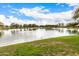 A scenic pond view features lush green grass and trees, offering a relaxing and picturesque landscape at 461 W Flamingo Dr, Chandler, AZ 85286