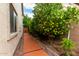 A narrow side yard features a vibrant orange tree and a paved walkway, offering a cozy outdoor space at 461 W Flamingo Dr, Chandler, AZ 85286