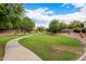 A curved walking path winds through a green lawn and shade trees, perfect for a refreshing stroll at 461 W Flamingo Dr, Chandler, AZ 85286