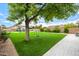 Beautiful backyard featuring a pristine lawn, mature shade tree with a swing, and an inviting swimming pool at 528 E Kyle Ct, Gilbert, AZ 85296