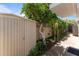 Side yard of a home showcasing a storage shed, mature tree, and lush landscaping along a walkway at 7611 E Pasadena Ave, Scottsdale, AZ 85250