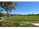 View of large green space and the neighborhood beyond on a bright, sunny day at 1081 E Armstrong Way, Chandler, AZ 85286