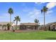Expansive backyard with green lawn, mature palm trees, fenced perimeter, and covered patio area at 10909 W Chase Ln, Avondale, AZ 85323