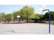 Community basketball court with well maintained pavement, basketball hoops, and surrounded by mature trees at 10909 W Chase Ln, Avondale, AZ 85323