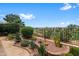 Picturesque backyard view with lush desert plants overlooking the water and scenic golf course at 11553 W Cottontail Ct, Surprise, AZ 85378