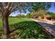 Lush community park with walking path, mature trees, and serene green space for outdoor enjoyment at 15416 W Valentine St, Surprise, AZ 85379