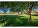 Picturesque park with green lawn, trees, and covered gazebo; perfect for community gatherings and outdoor enjoyment at 15416 W Valentine St, Surprise, AZ 85379