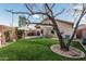 Inviting backyard oasis featuring lush green turf, a patio, and a charming outdoor dining area for relaxation and entertainment at 16654 N 19Th Pl, Phoenix, AZ 85022