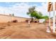 Large backyard featuring a mature tree, block wall, storage shed, and potential for landscaping opportunities at 17128 N Princess Pl, Surprise, AZ 85374