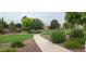 A serene community park offers a paved walking path through lush greenery and mature trees for residents to enjoy at 18177 W Tasha Dr, Surprise, AZ 85388