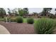 A well-maintained community park features neat bushes and pathways, offering a relaxing atmosphere for residents at 18177 W Tasha Dr, Surprise, AZ 85388