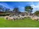 Scenic waterfall feature surrounded by lush greenery, rocks, and trees at 28375 N 130Th Dr, Peoria, AZ 85383