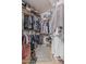 Walk-in closet with hanging racks and shelving for optimal clothing and storage at 3059 E Tyson Ct, Gilbert, AZ 85295