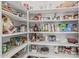 Walk-in pantry features plentiful shelving space for organized food and kitchen storage at 3059 E Tyson Ct, Gilbert, AZ 85295