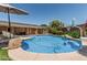 Stunning backyard pool with lush landscaping and rock features, perfect for Arizona summers and relaxation at 3059 E Tyson Ct, Gilbert, AZ 85295