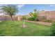 Green grass backyard with retaining wall and landscaping at 425 S 93Rd Pl, Mesa, AZ 85208