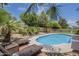 Sun-drenched pool surrounded by palm trees and lounge chairs creating a relaxing outdoor oasis at 5330 E Tierra Buena Ln, Scottsdale, AZ 85254