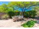 Backyard dining area with outdoor seating under a shady tree, surrounded by lush greenery at 6996 E Mighty Saguaro Way, Scottsdale, AZ 85266