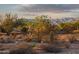 Desert landscape at entrance of community with views of desert, mountains and sky at 10109 E Trailhead Ct, Gold Canyon, AZ 85118