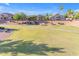 Wide view of backyards in a neighborhood, featuring well-manicured lawns and varied landscaping at 10305 E Plata Ave, Mesa, AZ 85212