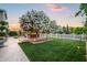 Spacious backyard featuring a well-manicured lawn, flowering trees, and an inviting outdoor seating area at 10344 E Trillium Ave, Mesa, AZ 85212