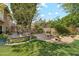Serene backyard retreat with mature trees, a gravel garden area, and lush green lawn at 14655 S 25Th Way, Phoenix, AZ 85048