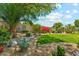 Backyard featuring desert landscaping, rocks, mature trees, and gravel pathways, with a glimpse of the pool at 14655 S 25Th Way, Phoenix, AZ 85048