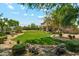 Spacious backyard with well-maintained lawn, desert landscaping, trees, and covered patio area at 14655 S 25Th Way, Phoenix, AZ 85048
