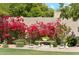 Well-maintained backyard garden featuring vibrant bougainvillea, gravel landscaping, and a charming bench area at 14655 S 25Th Way, Phoenix, AZ 85048