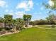 Expansive backyard features lush greenery, a pool, a basketball court, and mature trees for shade at 14655 S 25Th Way, Phoenix, AZ 85048