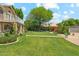 Large, grassy backyard is enhanced by the mature trees and desert landscaping, with covered patio at 14655 S 25Th Way, Phoenix, AZ 85048