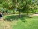 Expansive backyard featuring mature trees that offer ample shade, enhancing the outdoor living experience at 154 E Redfield Rd, Chandler, AZ 85225